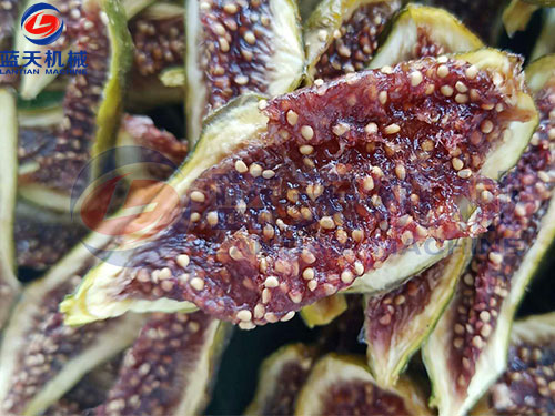 家用水果烘干機多少錢一臺？